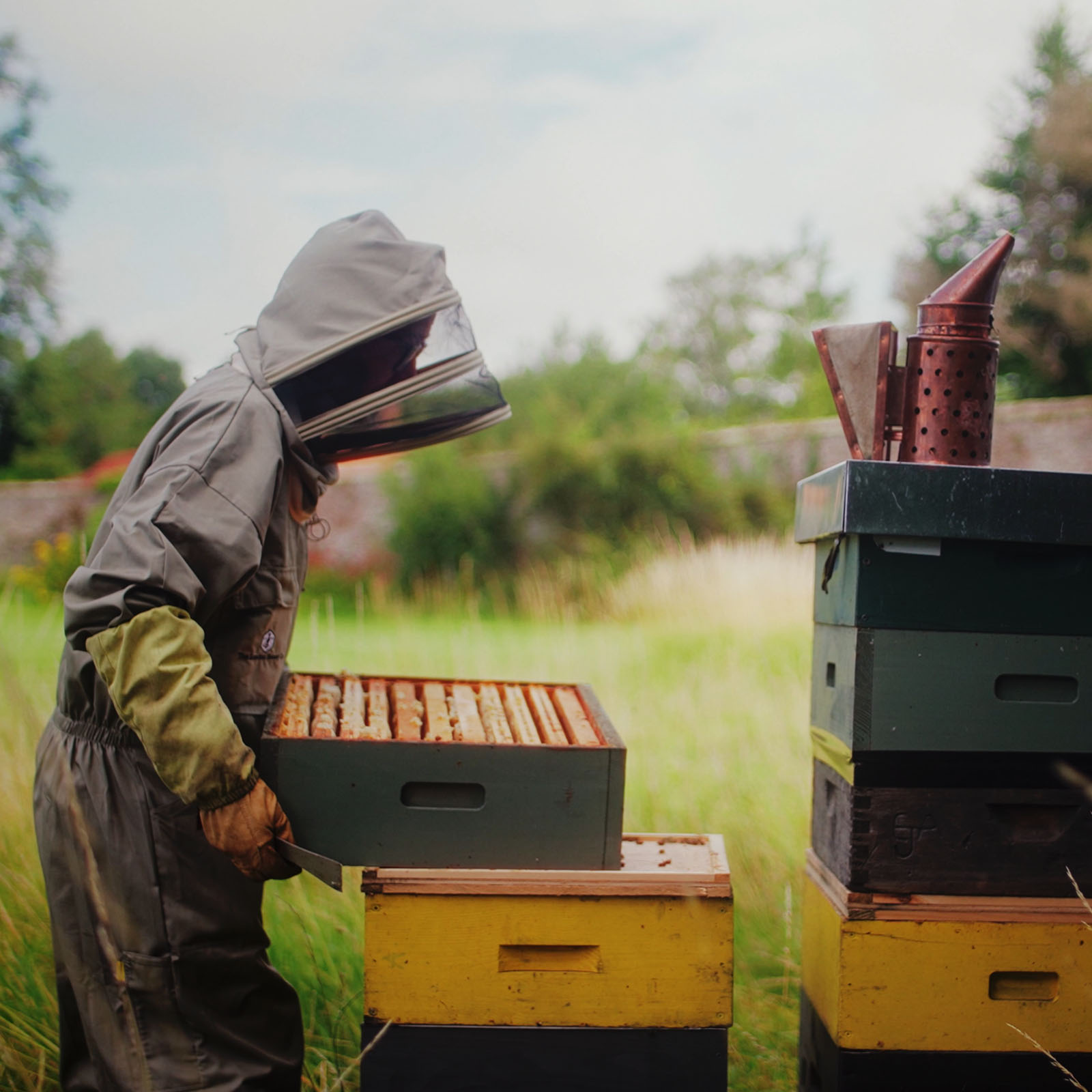 bees_02