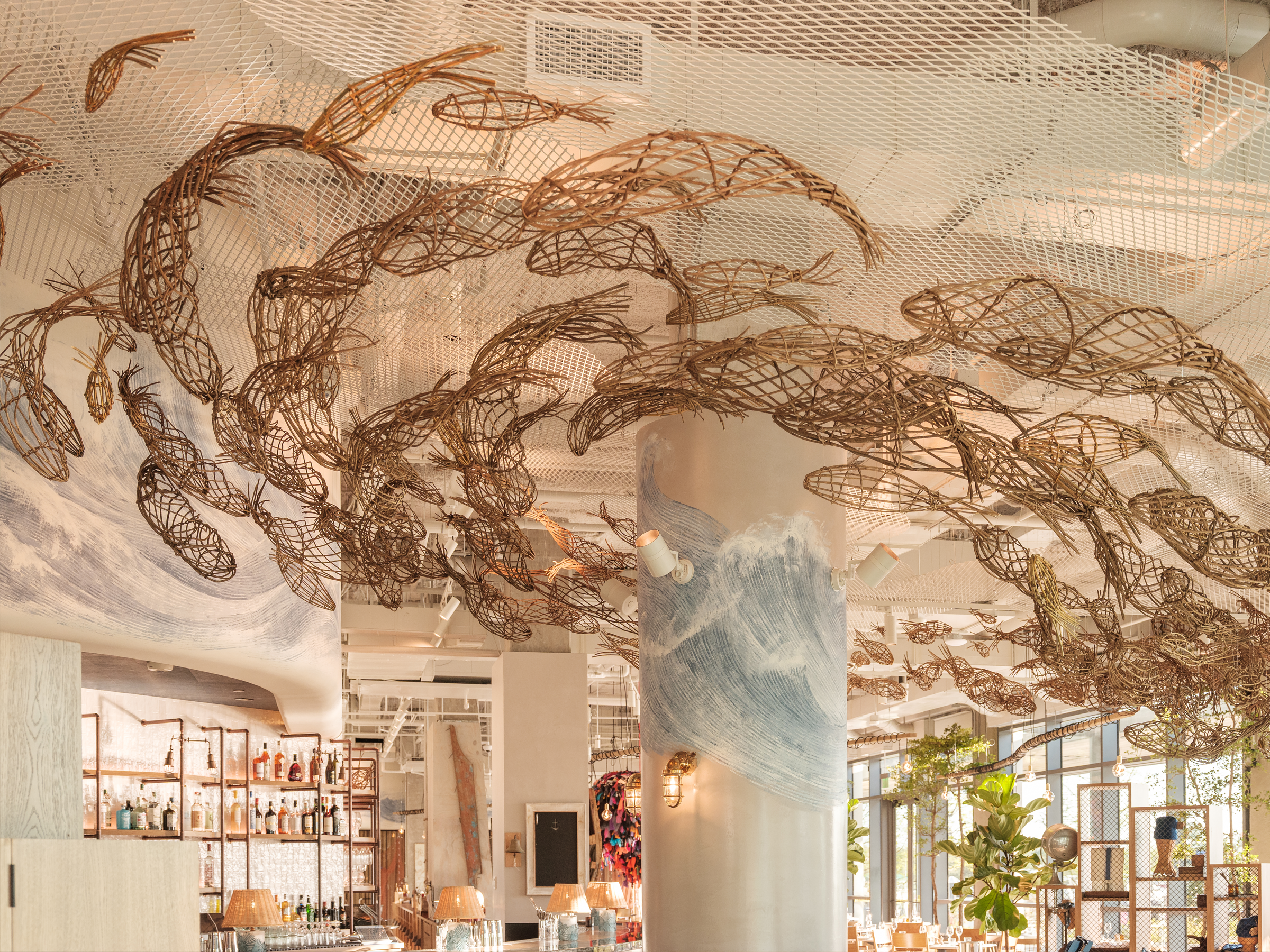 fishshopdc_artwork