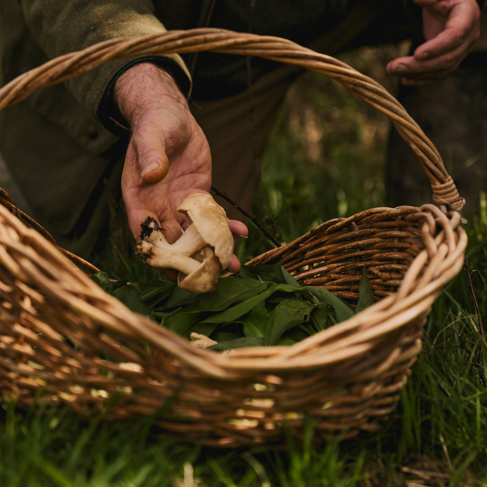 forage_01