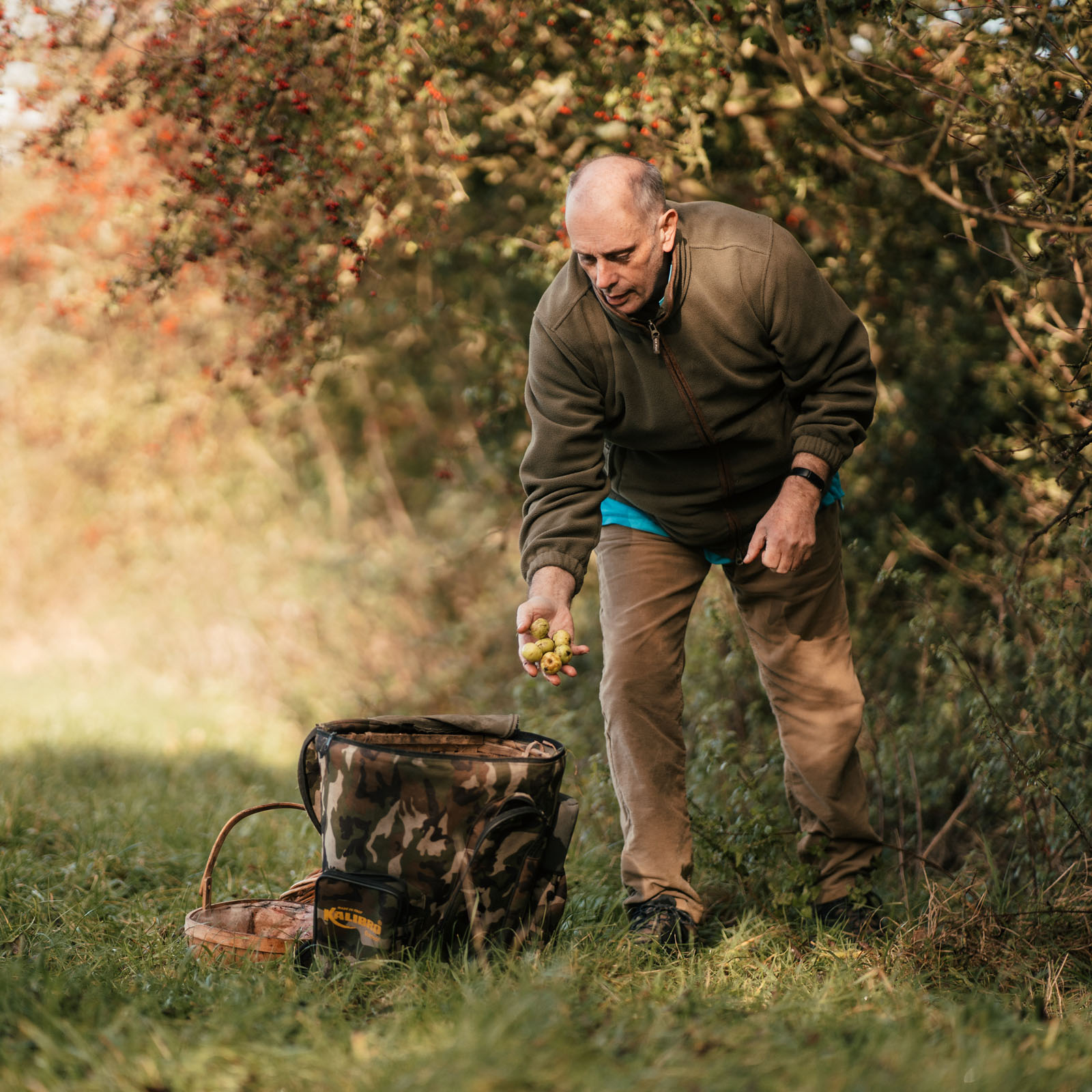 foraging