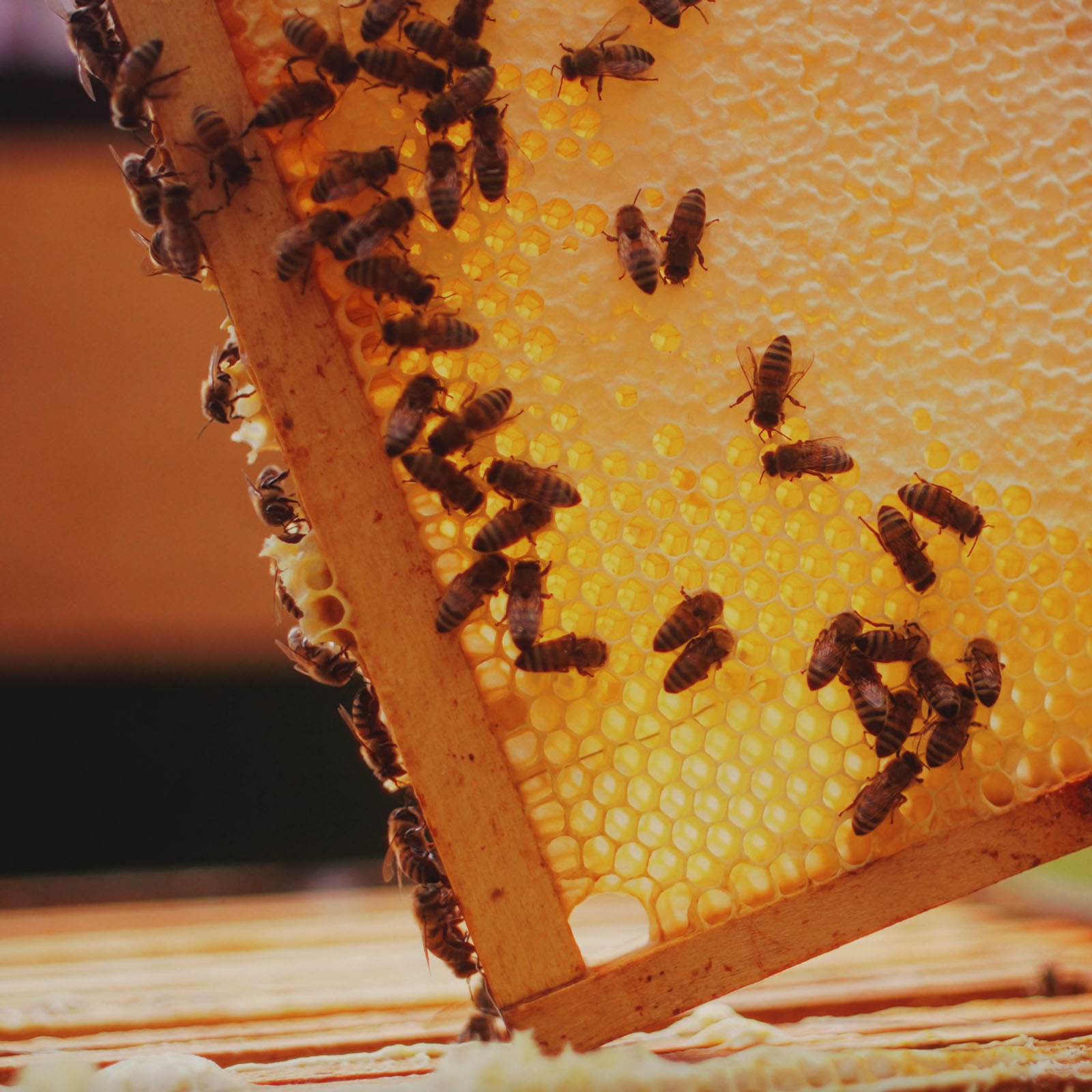 hives