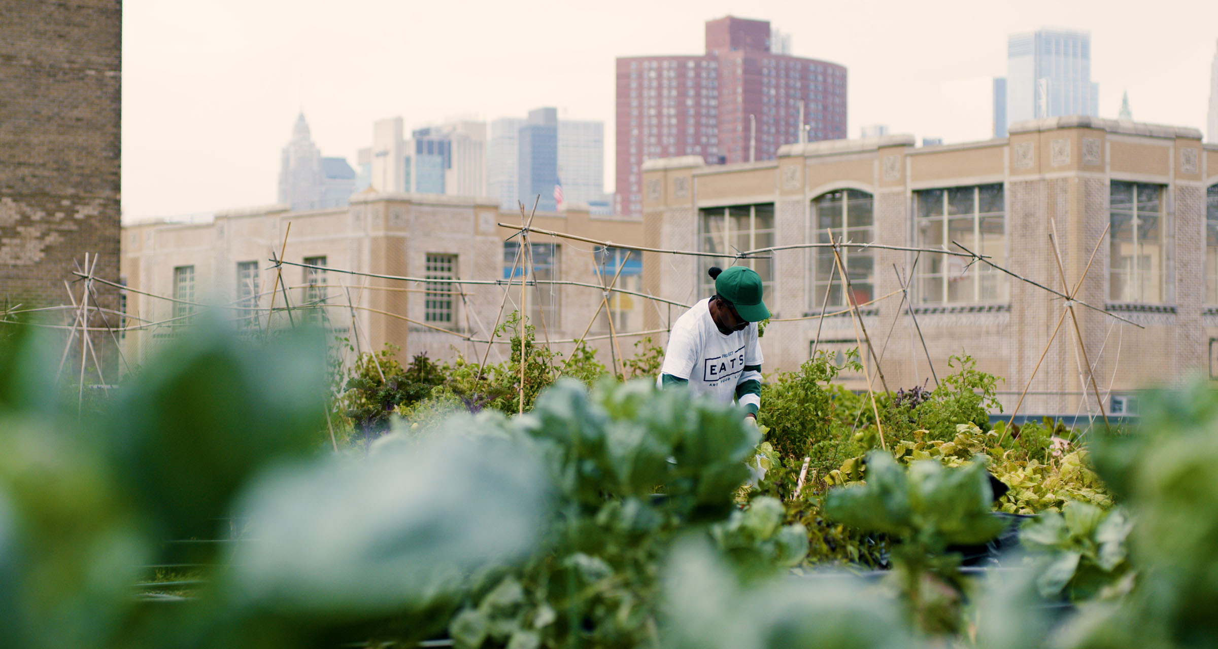 Project Eats garden being tended to by staff member