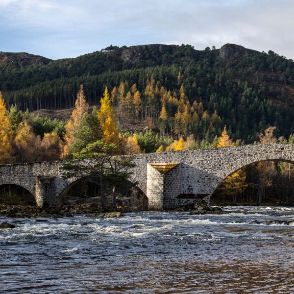 River Dee Trust